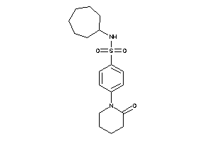 N-cycloheptyl-4-(2-ketopiperidino)benzenesulfonamide