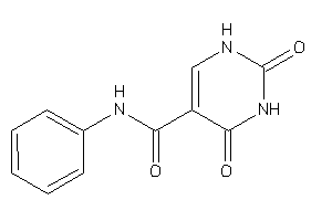 2,4-diketo-N-phenyl-1H-pyrimidine-5-carboxamide