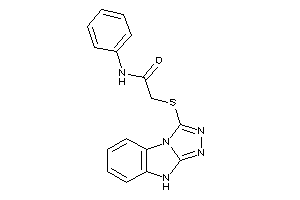 N-phenyl-2-(4H-[1,2,4]triazolo[4,3-a]benzimidazol-1-ylthio)acetamide