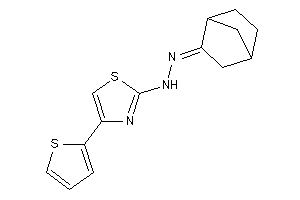 Image of (norbornan-2-ylideneamino)-[4-(2-thienyl)thiazol-2-yl]amine