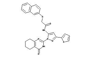N-[5-(2-furyl)-2-(4-keto-5,6,7,8-tetrahydro-3H-quinazolin-2-yl)pyrazol-3-yl]-2-(2-naphthoxy)acetamide
