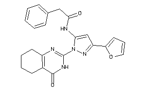 Image of N-[5-(2-furyl)-2-(4-keto-5,6,7,8-tetrahydro-3H-quinazolin-2-yl)pyrazol-3-yl]-2-phenyl-acetamide