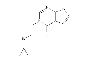 3-[2-(cyclopropylamino)ethyl]thieno[2,3-d]pyrimidin-4-one