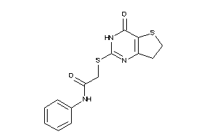 2-[(4-keto-6,7-dihydro-3H-thieno[3,2-d]pyrimidin-2-yl)thio]-N-phenyl-acetamide