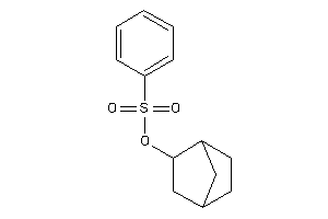 Benzenesulfonic Acid 2-norbornyl Ester