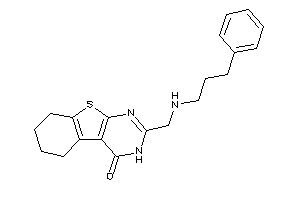 2-[(3-phenylpropylamino)methyl]-5,6,7,8-tetrahydro-3H-benzothiopheno[2,3-d]pyrimidin-4-one