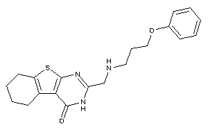 2-[(3-phenoxypropylamino)methyl]-5,6,7,8-tetrahydro-3H-benzothiopheno[2,3-d]pyrimidin-4-one