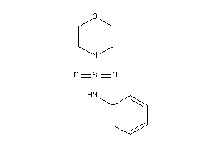 N-phenylmorpholine-4-sulfonamide