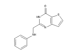 Image of 2-(anilinomethyl)-3H-thieno[3,2-d]pyrimidin-4-one
