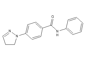 N-phenyl-4-(2-pyrazolin-1-yl)benzamide