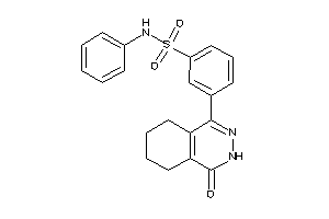 3-(4-keto-5,6,7,8-tetrahydro-3H-phthalazin-1-yl)-N-phenyl-benzenesulfonamide