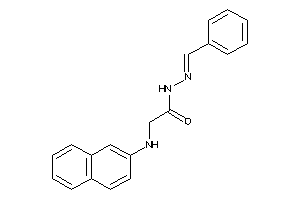 N-(benzalamino)-2-(2-naphthylamino)acetamide