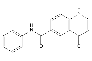 4-keto-N-phenyl-1H-quinoline-6-carboxamide