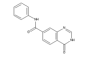 4-keto-N-phenyl-3H-quinazoline-7-carboxamide