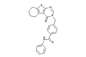 4-[(4-keto-5,6,7,8-tetrahydrobenzothiopheno[2,3-d]pyrimidin-3-yl)methyl]-N-phenyl-benzamide