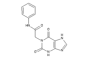 2-(2,6-diketo-3,7-dihydropurin-1-yl)-N-phenyl-acetamide