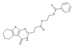 Benzoic Acid 2-[3-(4-keto-5,6,7,8-tetrahydro-3H-benzothiopheno[2,3-d]pyrimidin-2-yl)propanoyloxy]ethyl Ester