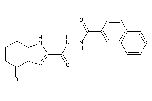 4-keto-N'-(2-naphthoyl)-1,5,6,7-tetrahydroindole-2-carbohydrazide