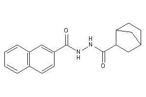 N'-(norbornane-2-carbonyl)naphthalene-2-carbohydrazide