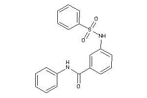 3-(benzenesulfonamido)-N-phenyl-benzamide