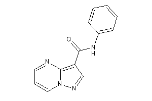 N-phenylpyrazolo[1,5-a]pyrimidine-3-carboxamide