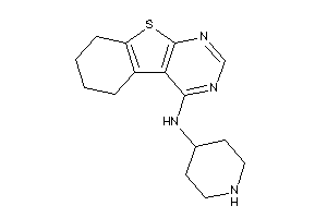 4-piperidyl(5,6,7,8-tetrahydrobenzothiopheno[2,3-d]pyrimidin-4-yl)amine