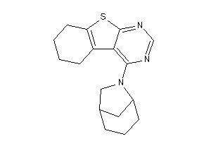 4-(6-azabicyclo[3.2.1]octan-6-yl)-5,6,7,8-tetrahydrobenzothiopheno[2,3-d]pyrimidine