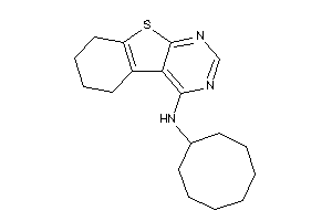Cyclooctyl(5,6,7,8-tetrahydrobenzothiopheno[2,3-d]pyrimidin-4-yl)amine