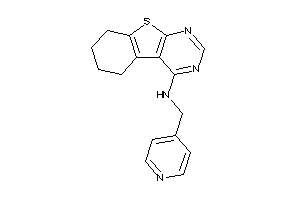 4-pyridylmethyl(5,6,7,8-tetrahydrobenzothiopheno[2,3-d]pyrimidin-4-yl)amine