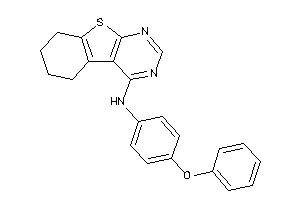 (4-phenoxyphenyl)-(5,6,7,8-tetrahydrobenzothiopheno[2,3-d]pyrimidin-4-yl)amine