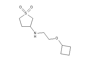 Image of 2-(cyclobutoxy)ethyl-(1,1-diketothiolan-3-yl)amine