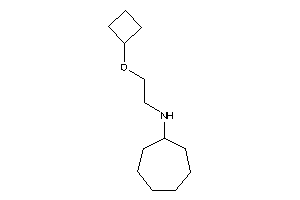 2-(cyclobutoxy)ethyl-cycloheptyl-amine