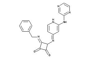 3-benzylimino-4-[[2-(pyrazin-2-ylamino)-1H-pyridin-4-ylidene]amino]cyclobutane-1,2-quinone