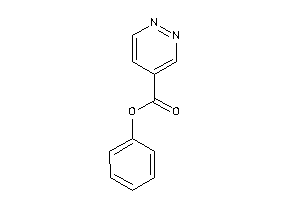 Pyridazine-4-carboxylic Acid Phenyl Ester