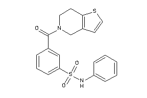 3-(6,7-dihydro-4H-thieno[3,2-c]pyridine-5-carbonyl)-N-phenyl-benzenesulfonamide