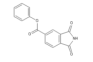 1,3-diketoisoindoline-5-carboxylic Acid Phenyl Ester