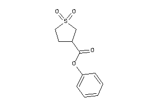 1,1-diketothiolane-3-carboxylic Acid Phenyl Ester