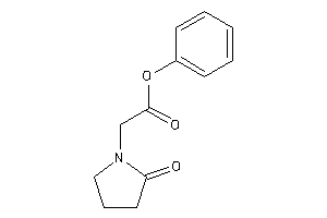 2-(2-ketopyrrolidino)acetic Acid Phenyl Ester