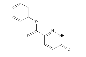 6-keto-1H-pyridazine-3-carboxylic Acid Phenyl Ester