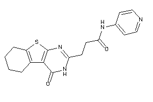 3-(4-keto-5,6,7,8-tetrahydro-3H-benzothiopheno[2,3-d]pyrimidin-2-yl)-N-(4-pyridyl)propionamide