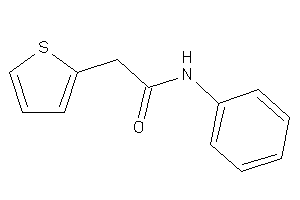 N-phenyl-2-(2-thienyl)acetamide