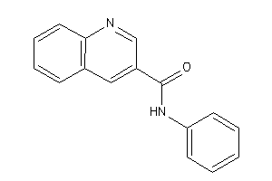 N-phenylquinoline-3-carboxamide