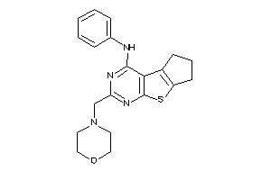 (morpholinomethylBLAHyl)-phenyl-amine