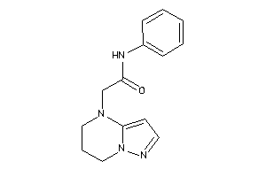 2-(6,7-dihydro-5H-pyrazolo[1,5-a]pyrimidin-4-yl)-N-phenyl-acetamide