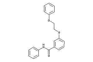 3-(2-phenoxyethoxy)-N-phenyl-benzamide