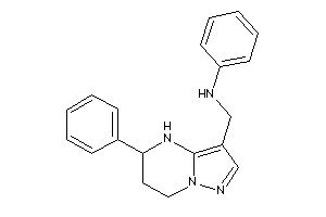 Phenyl-[(5-phenyl-4,5,6,7-tetrahydropyrazolo[1,5-a]pyrimidin-3-yl)methyl]amine