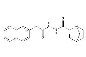 N'-[2-(2-naphthyl)acetyl]norbornane-2-carbohydrazide