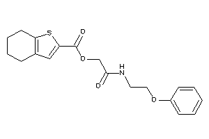 4,5,6,7-tetrahydrobenzothiophene-2-carboxylic Acid [2-keto-2-(2-phenoxyethylamino)ethyl] Ester