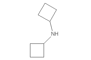 Image of Di(cyclobutyl)amine