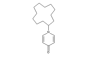 Image of 1-cyclododecyl-4-pyridone